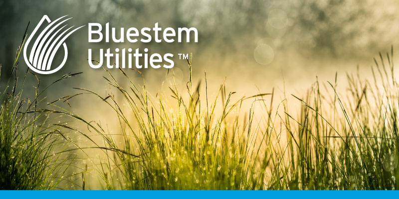 bluestem-website-header