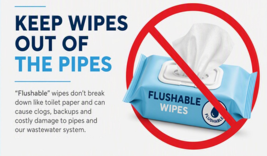 keep wipes out of the pipes