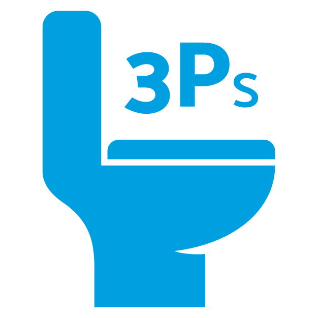 3Ps of Flushing